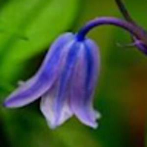 Meet your Posher, Danni